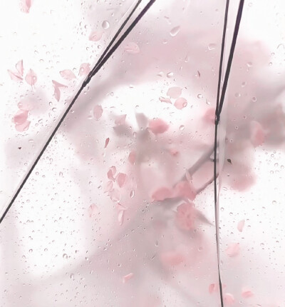 注明