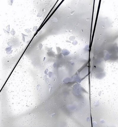 注明