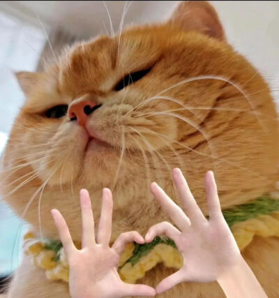 ～