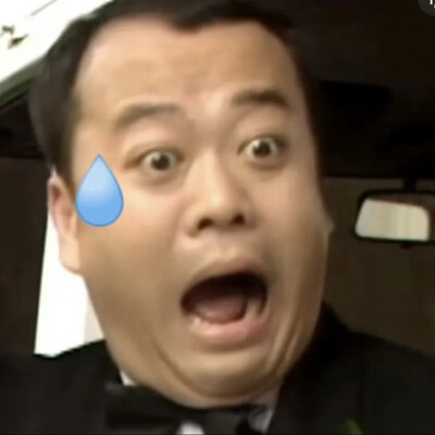 欧杨震华表情包