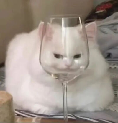 ～
