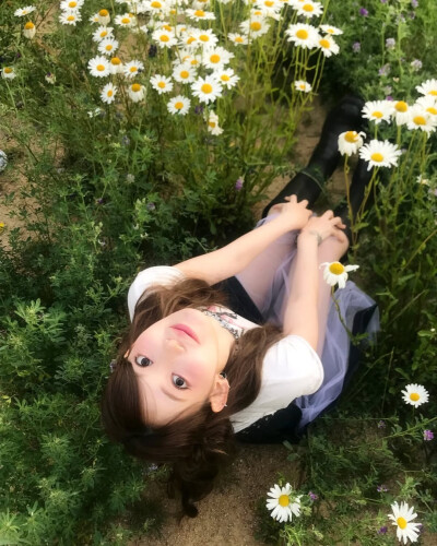 小樱花可二改