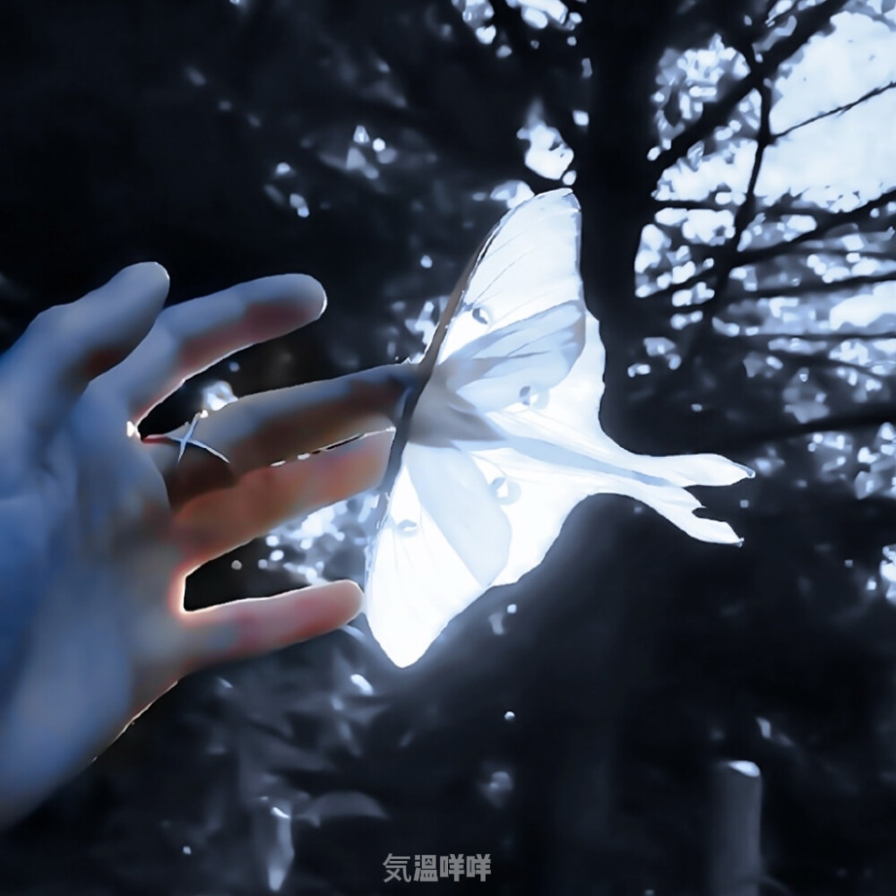 加州的蓝色季节