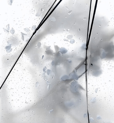 注明
