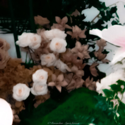 你是那人间四月
鞠婧祎
cr.槐花源
