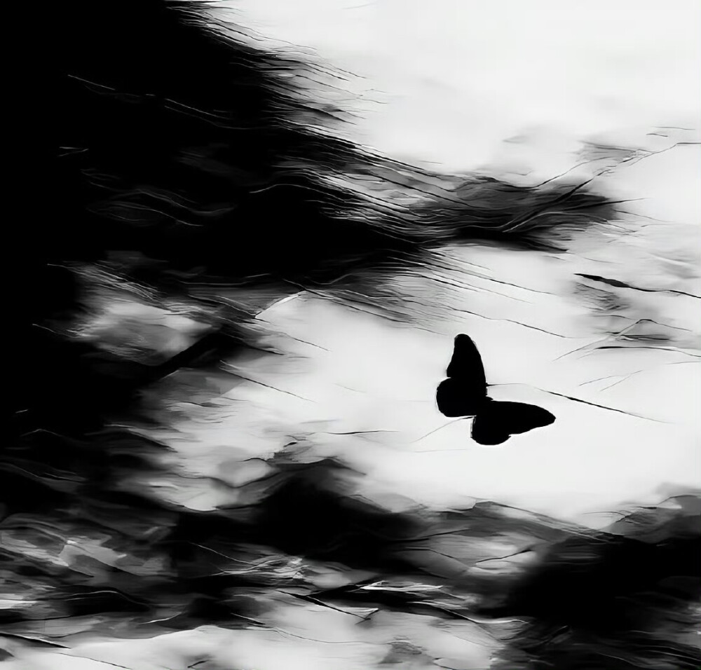 자연 사이 // 拍立得_爱( l’amore )