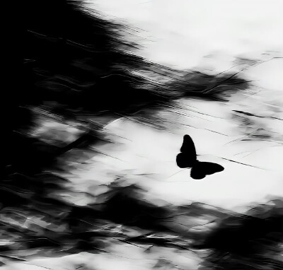 자연 사이 // 拍立得_爱( l’amore )