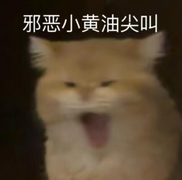 你很胖 才不是毛茸茸