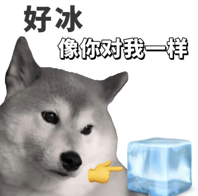 表情包