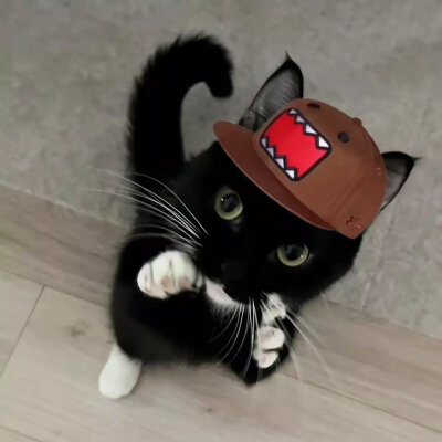 小众情侣头像⊙ω⊙