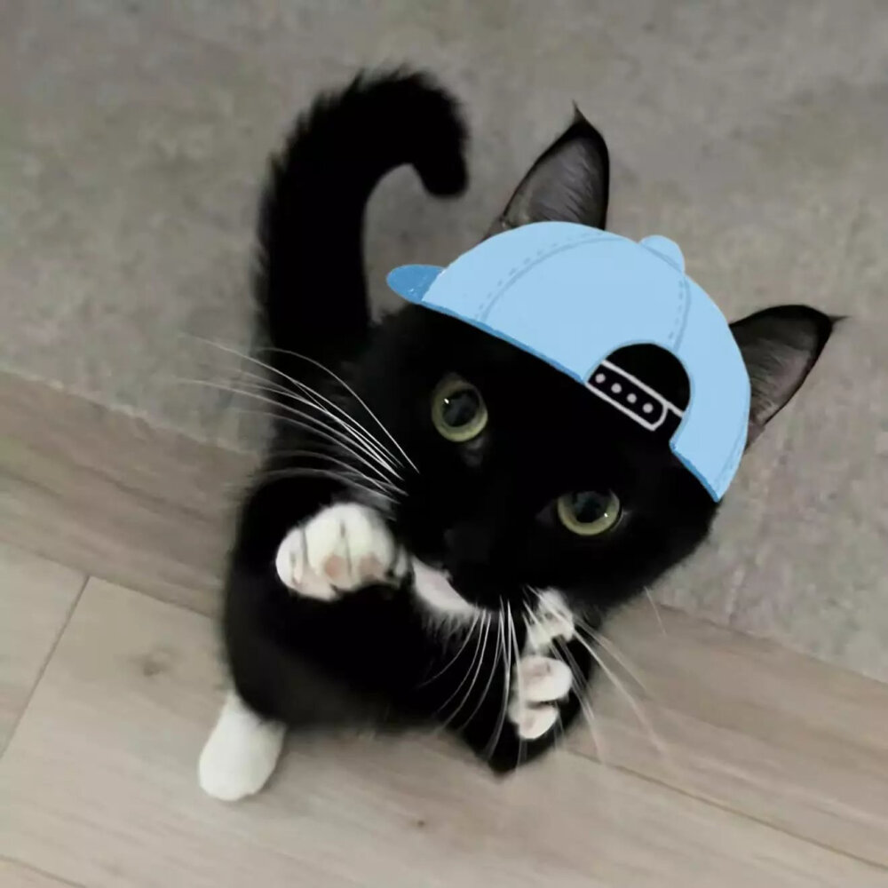 小众情侣头像⊙ω⊙