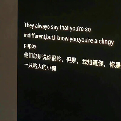 文字封面