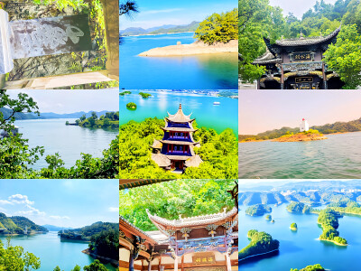  鹭点湖心镜漪回岛影伊感悟