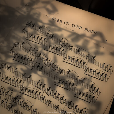 我们因爱而生.亦因爱而死
闵玧其
cr.39xiu