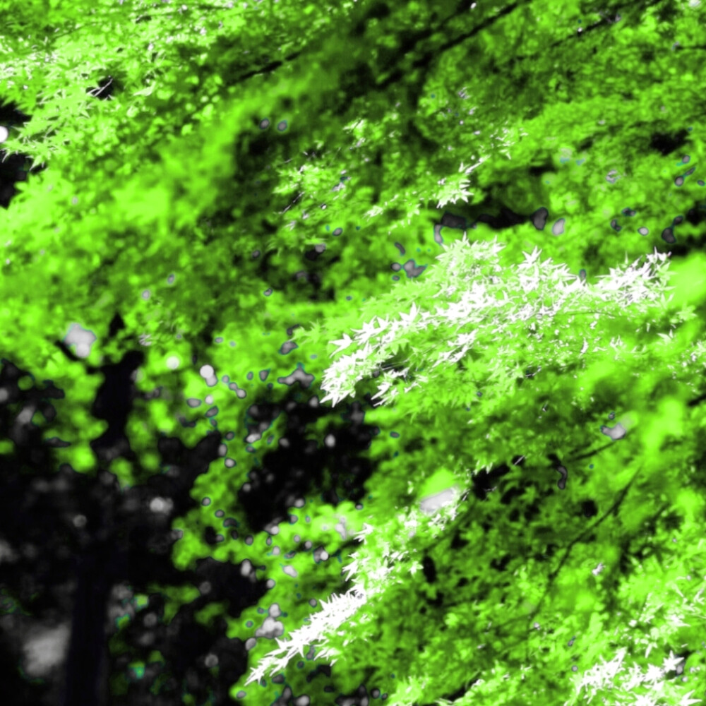 你手臂的淤青 像发霉的雨季