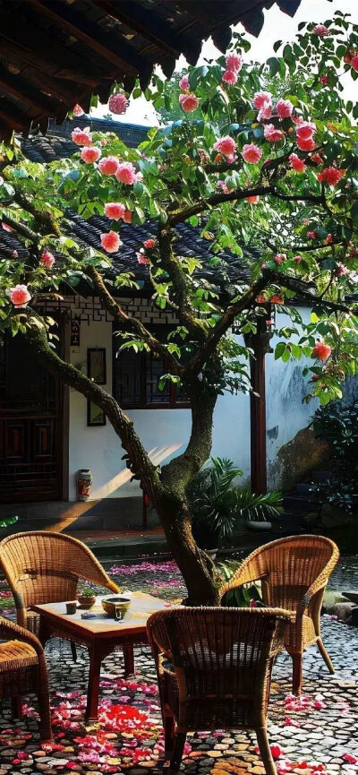 壁纸 背景图