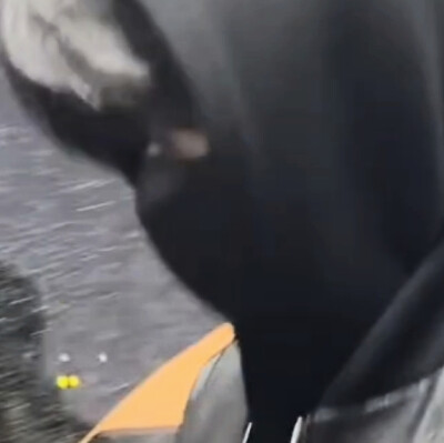 给我闺截的