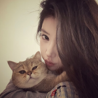 dt林宇婧