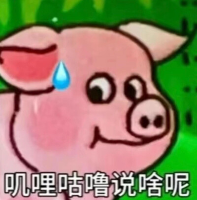 搞笑表情包