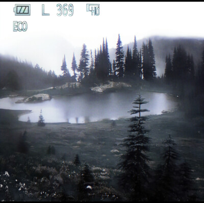 고요의 산_森 林 回忆录&Ветряной дух