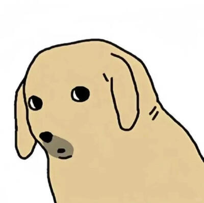 狗狗 表情