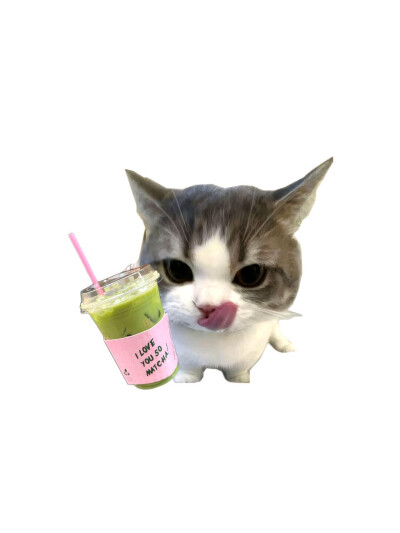 小猫头像