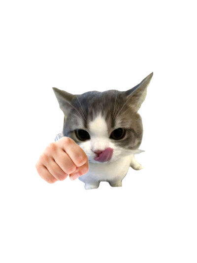 小猫头像