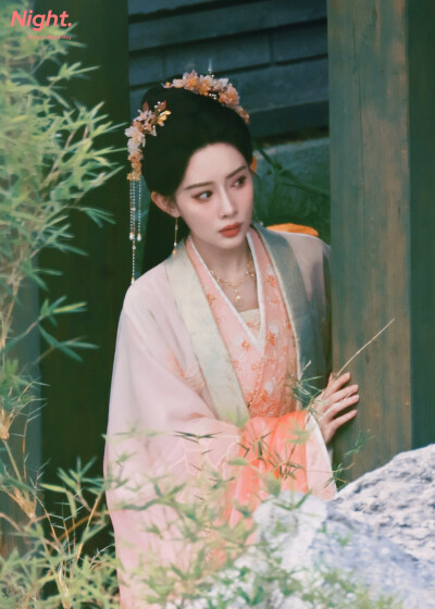 桃花映江山 姜桃花 孟子义