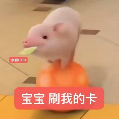 表情包