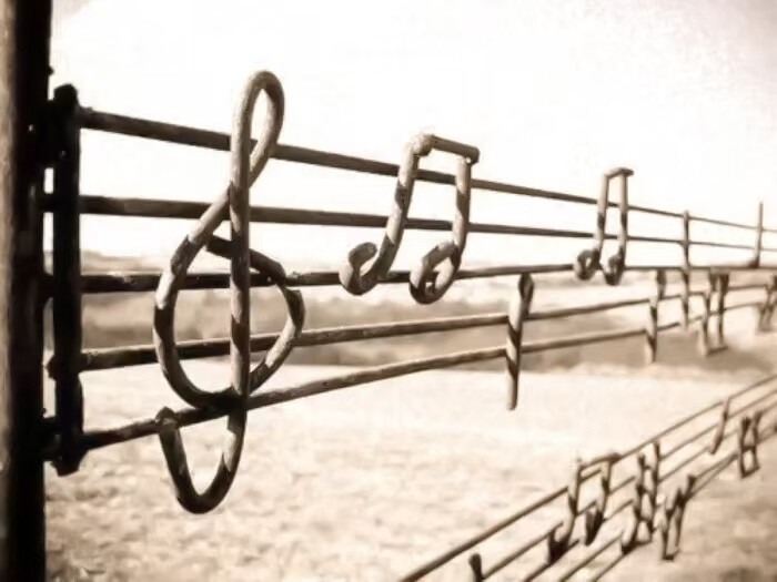 新try。。感觉毁了