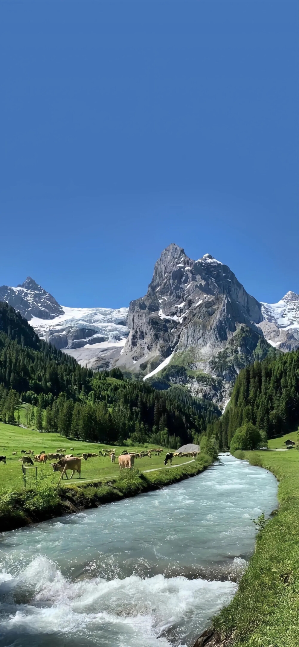 手机壁纸，风景壁纸