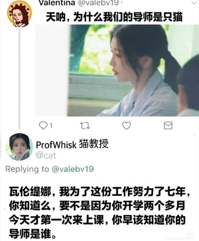 猫教授