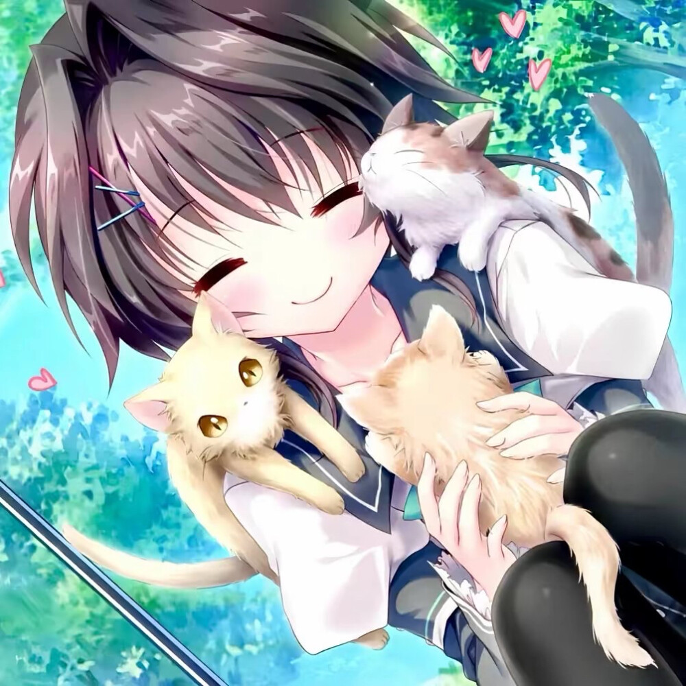 古早系摸鱼分享无塌