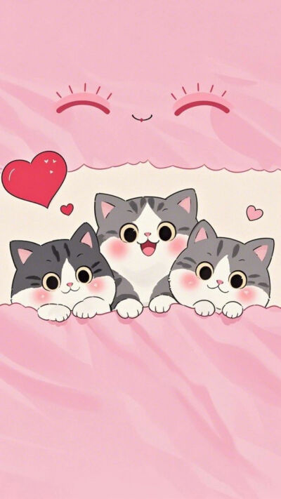 妙啊～猫咪 萌壁纸 