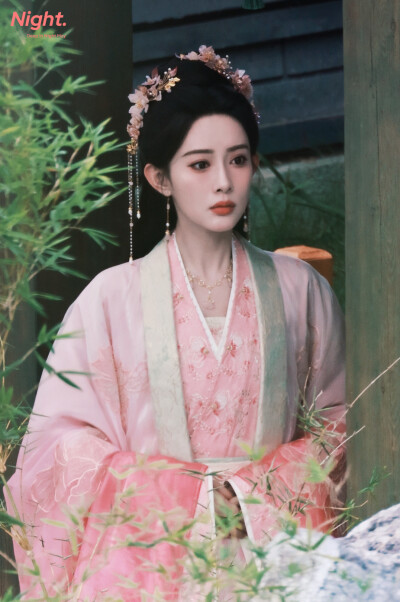 桃花映江山 姜桃花 孟子义