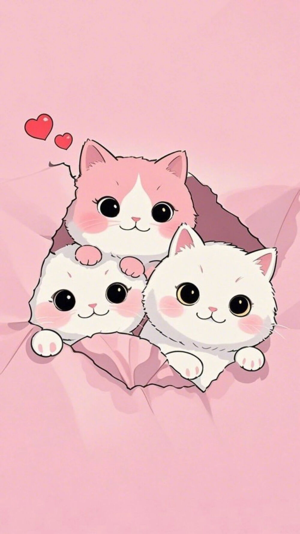 妙啊～猫咪 萌壁纸 