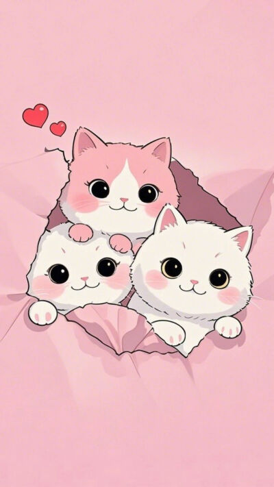 妙啊～猫咪 萌壁纸 