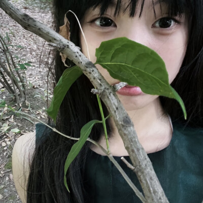 dt林宇婧