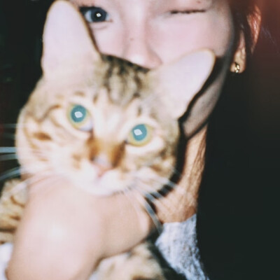 dt林宇婧