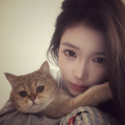 dt林宇婧