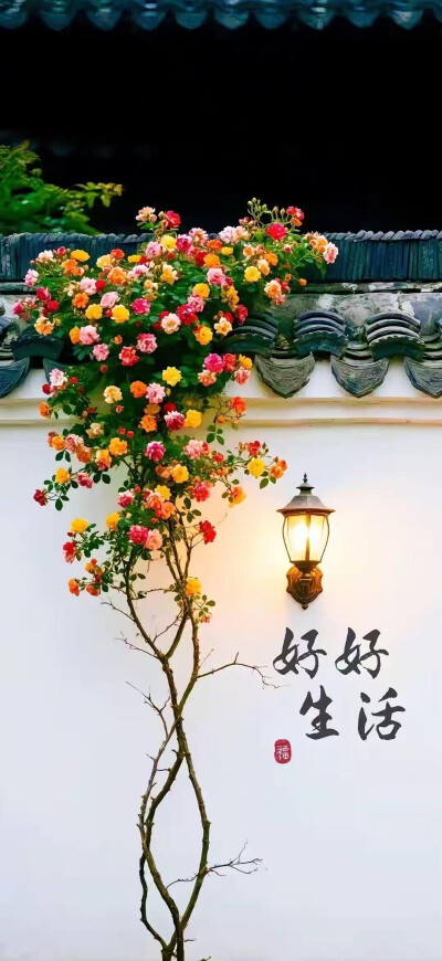 全屏壁纸