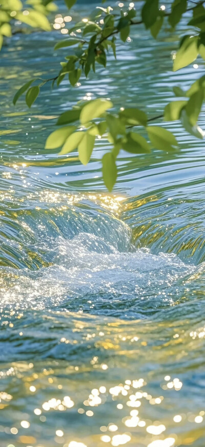 夏日壁纸 清凉 绿色