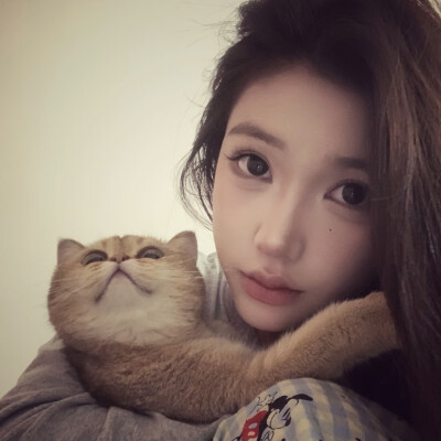dt林宇婧