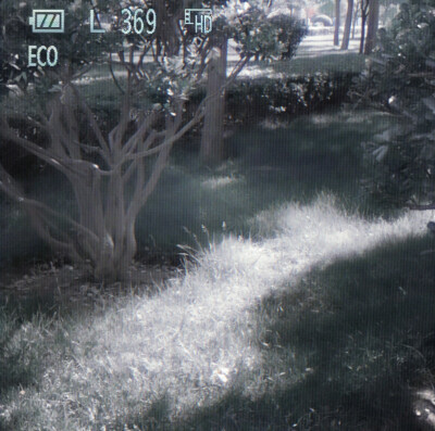 고요의 산_森 林 回忆录&Ветряной дух