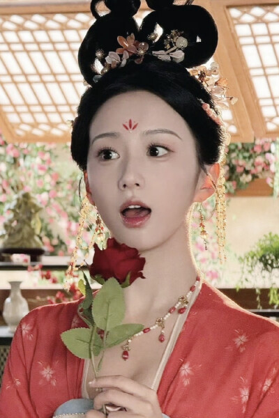韶华若锦 明檀
