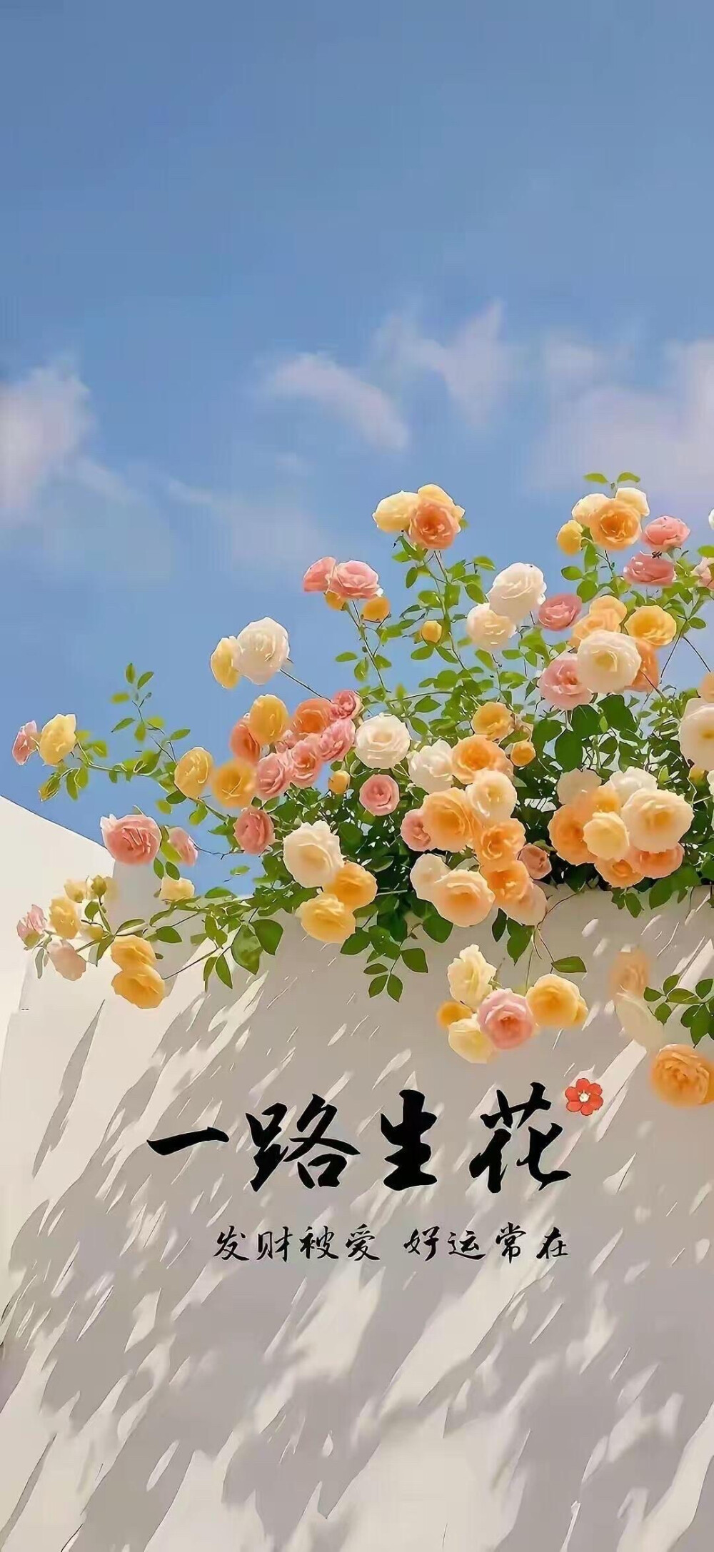 全屏壁纸