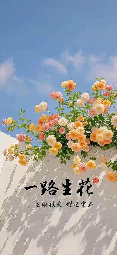 全屏壁纸