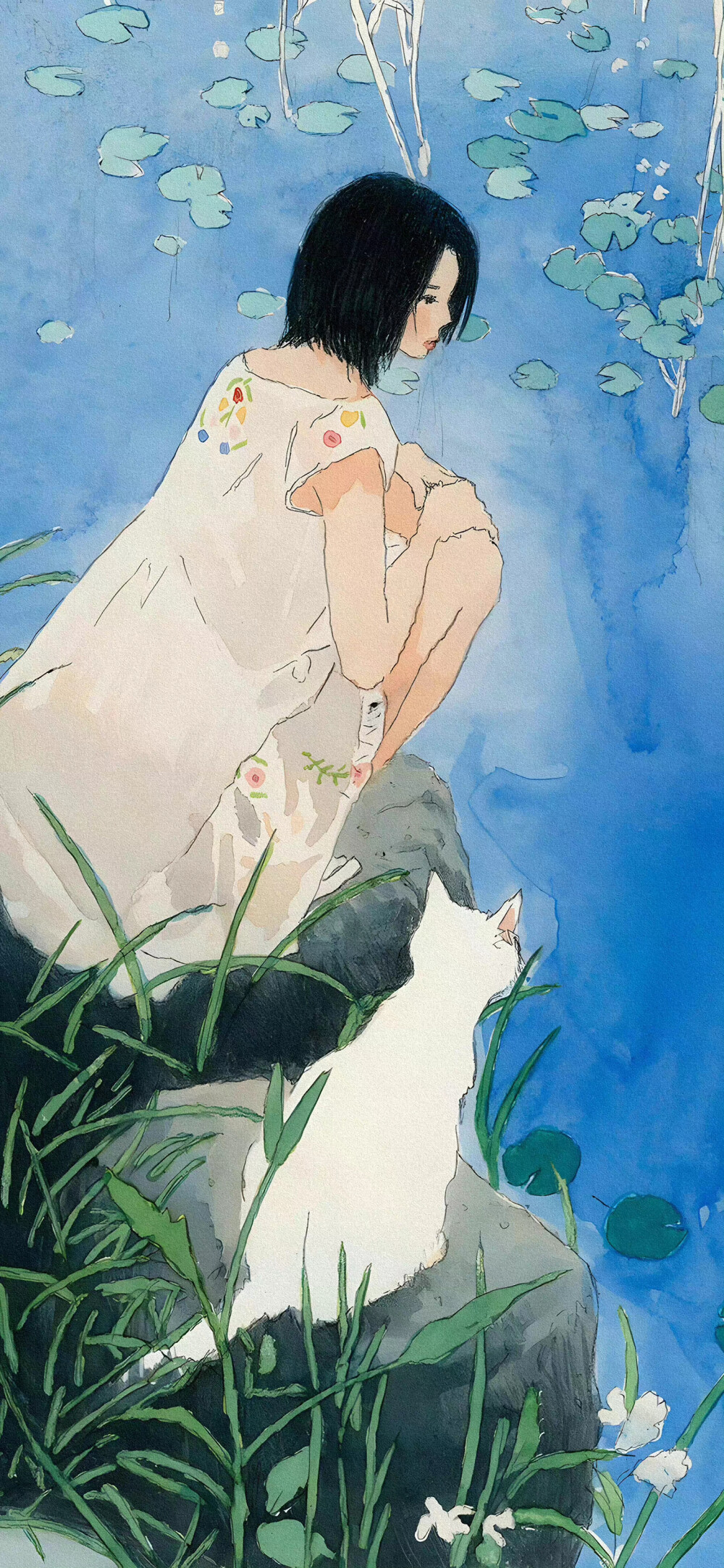 壁纸