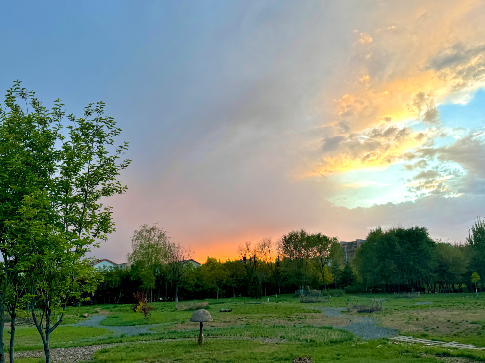 春风有信 花开有期