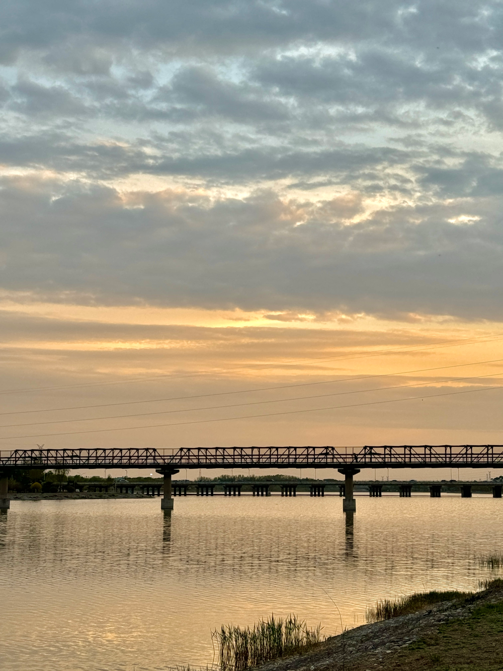 “祝你每次与春天斡旋，都是上上签” ​​​